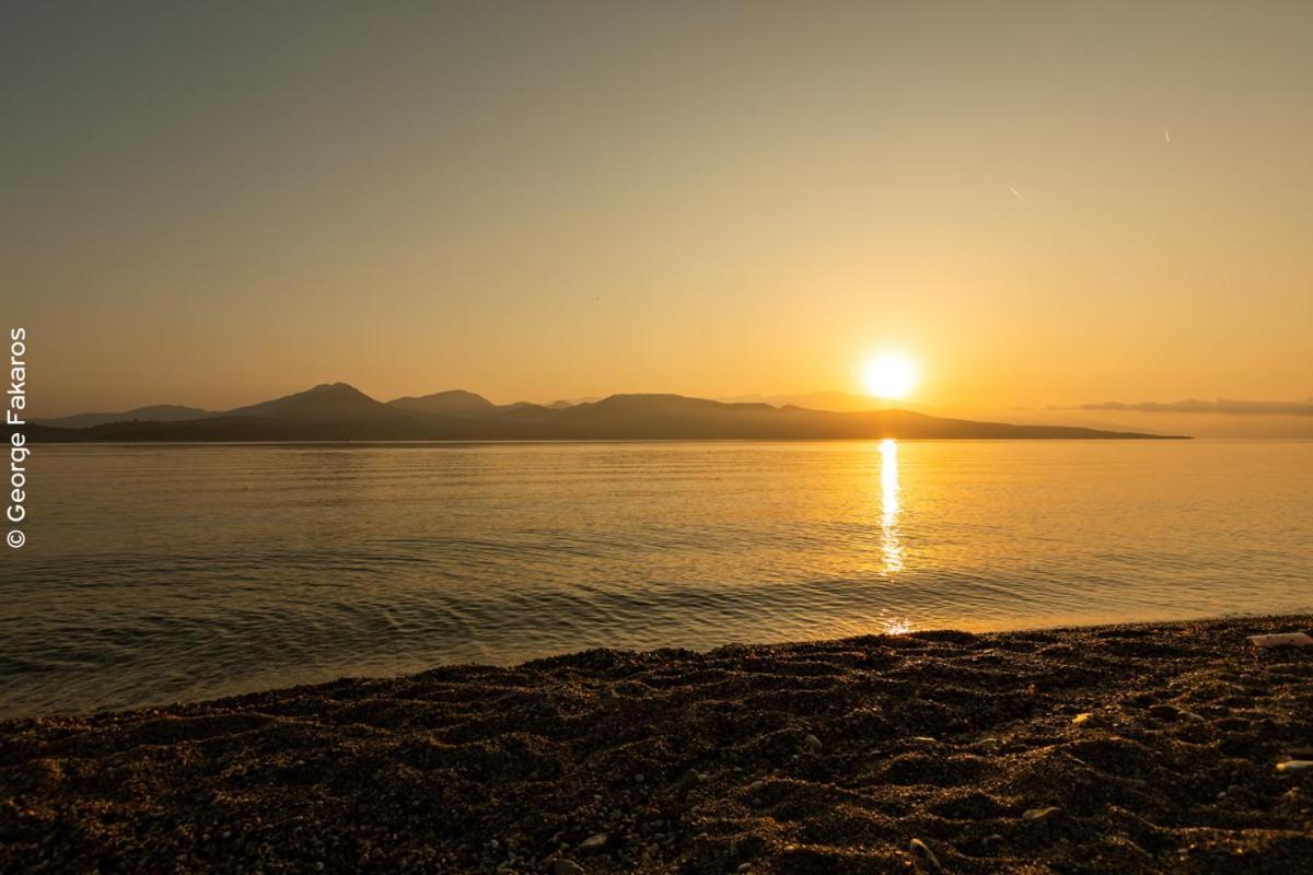 White Rock Villas Lefkada 리지아 외부 사진